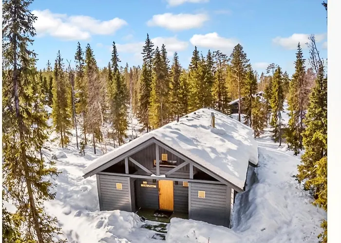 Dom wakacyjny Sinikuono By Interhome